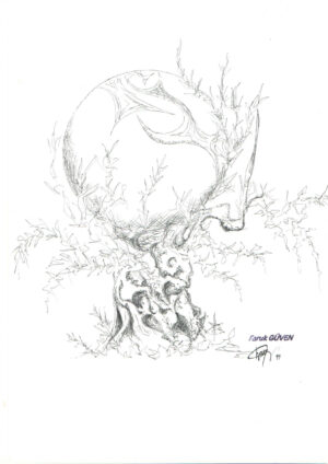 Yaşlı Zeytin Ağacı